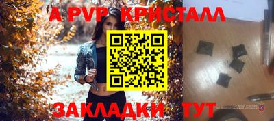 прущие крисы Кингисепп