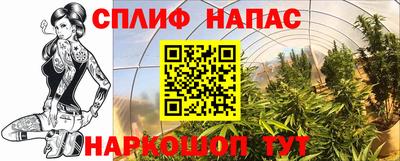 спайс Кимры