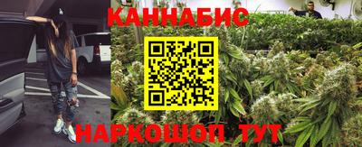 прущие крисы Кингисепп