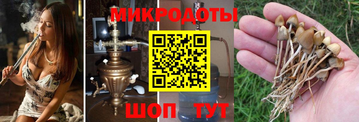 Кушва  Галлюциногенные грибы прущие грибы  Вход с VPN 